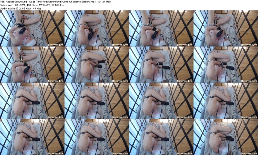 Rachel Greyhound Porn actress