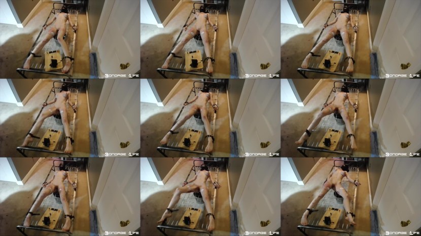 Xhamster_cocksluttiffany_august-2019-12377535