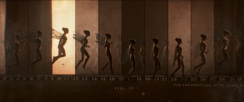 Brazil Lambada Carnival