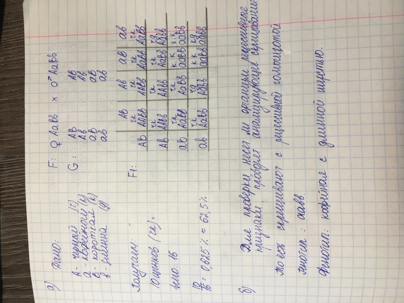 Katerina Covet Club Seventeen Kate C Pics