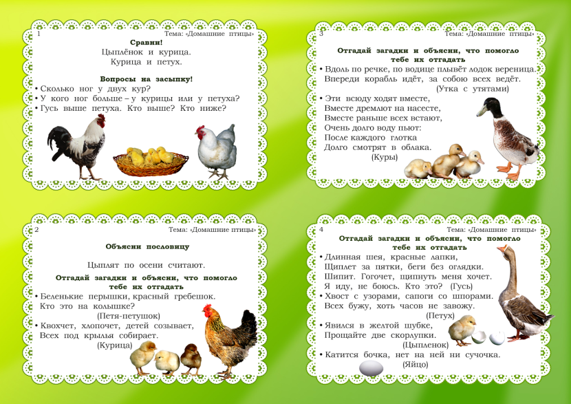 Young pornstars Kate Rich