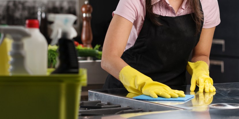 Femdom household slavery