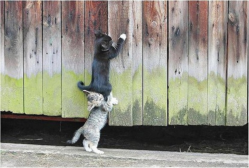 Omron cable switch ER6022