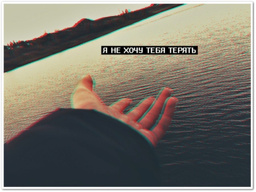 Cat development stages