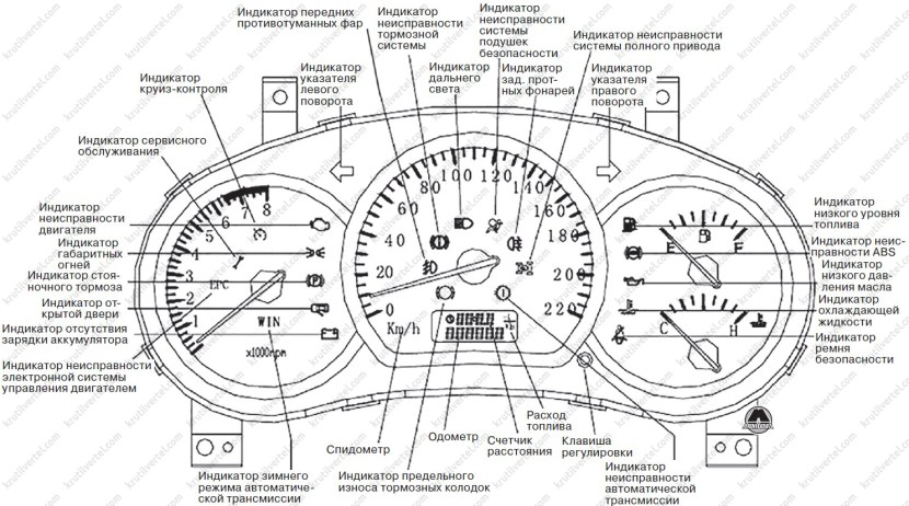 Raven and Star Faire Art
