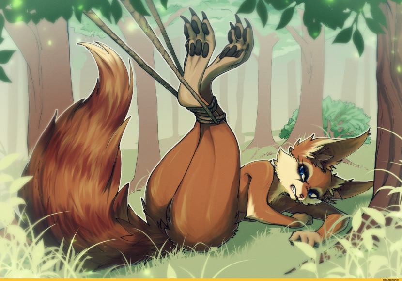 Martial Arts / Martial Peak