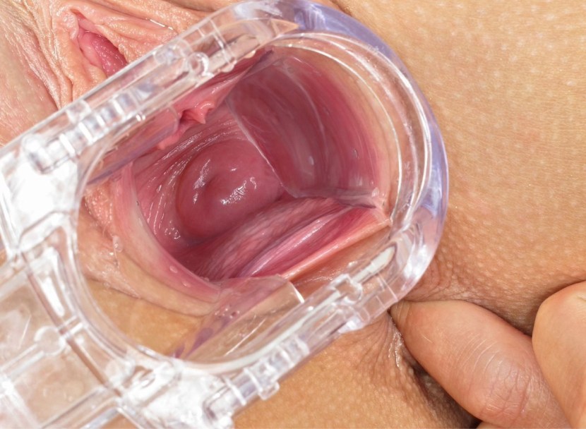 Women's vagina from the inside