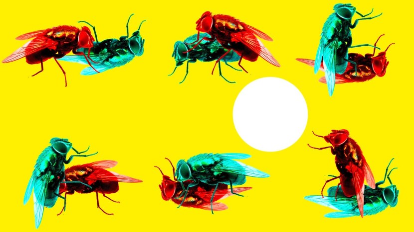 Ghosts Genshin Impact