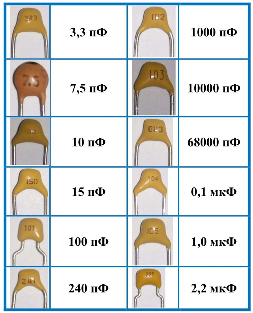 Furry Lolli Fox Kemono