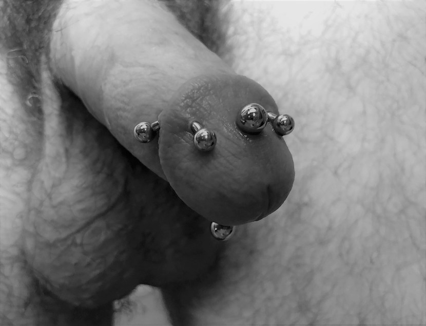 Prince Albert Puncture XXX