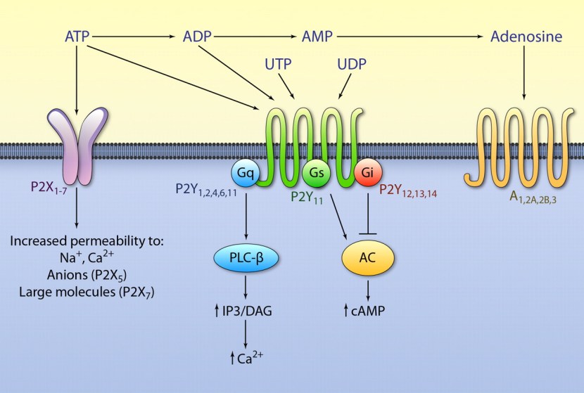 Tasks for compiling equations grade 7