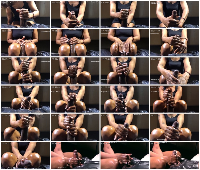 Lady Bug and Super Cat Hentai