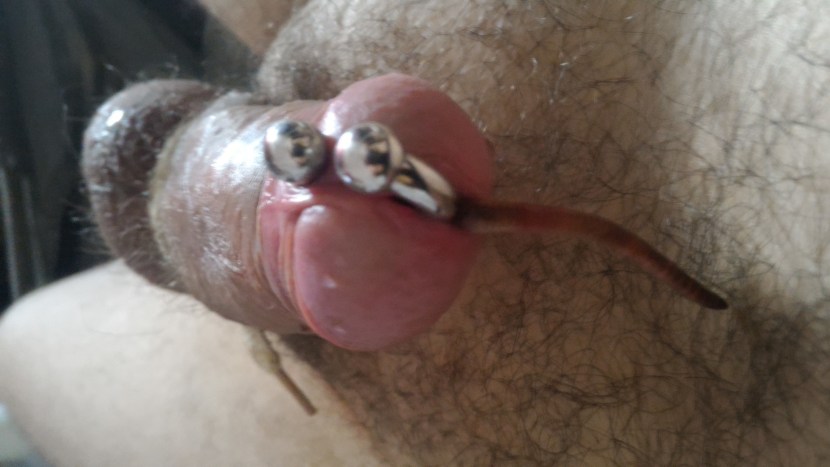 Tentacles rape Xentai