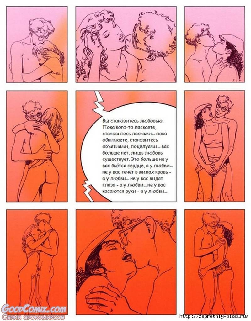 Japanese erotic comics