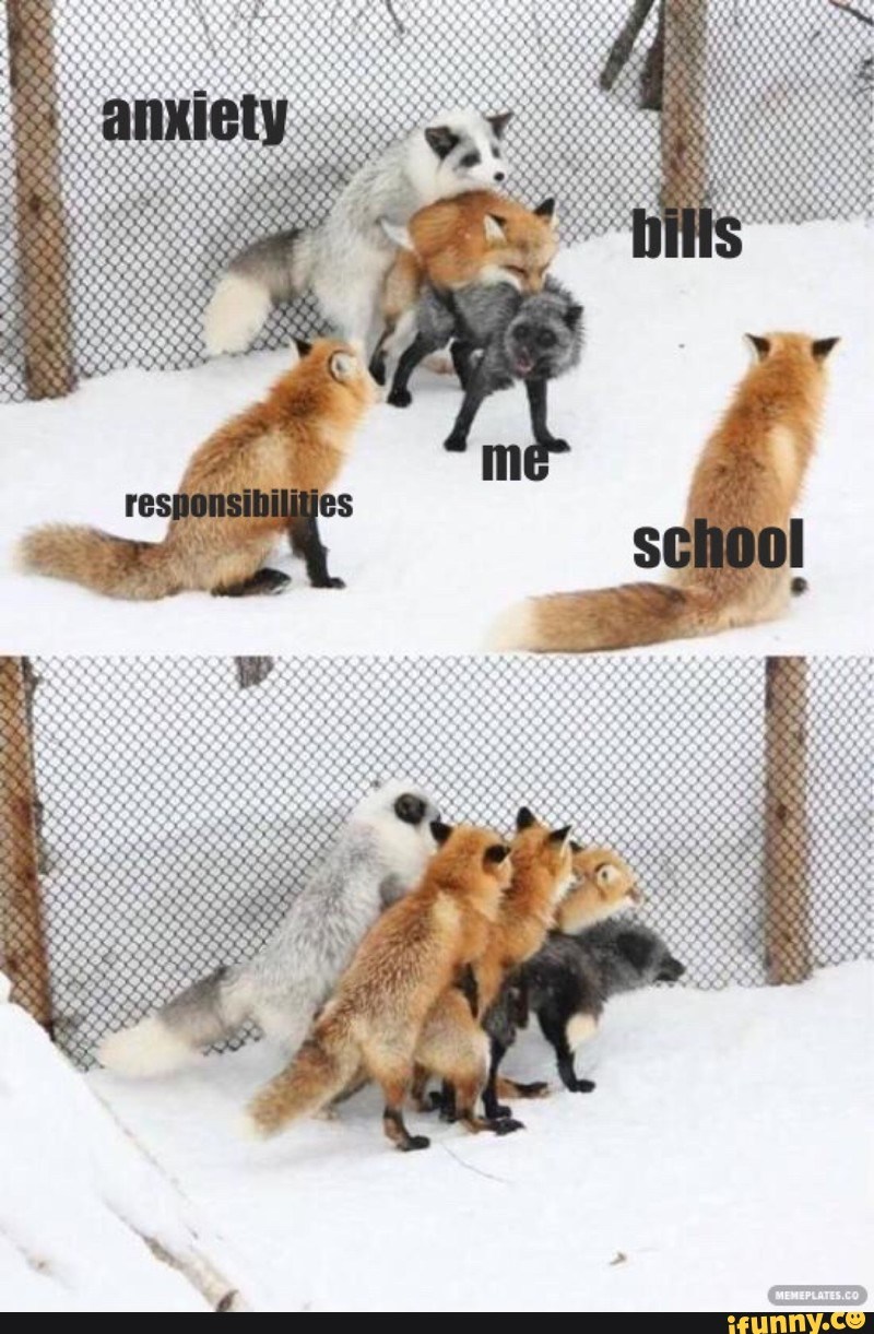 Write Sentences Using Therese Words English language 6th grade