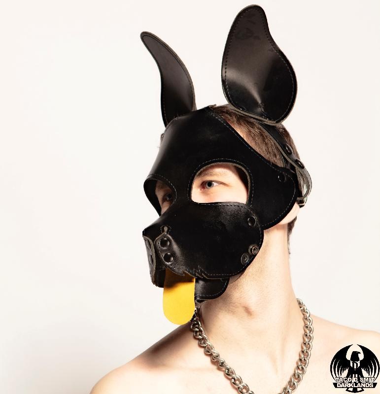 PUP Davey (87 photos)