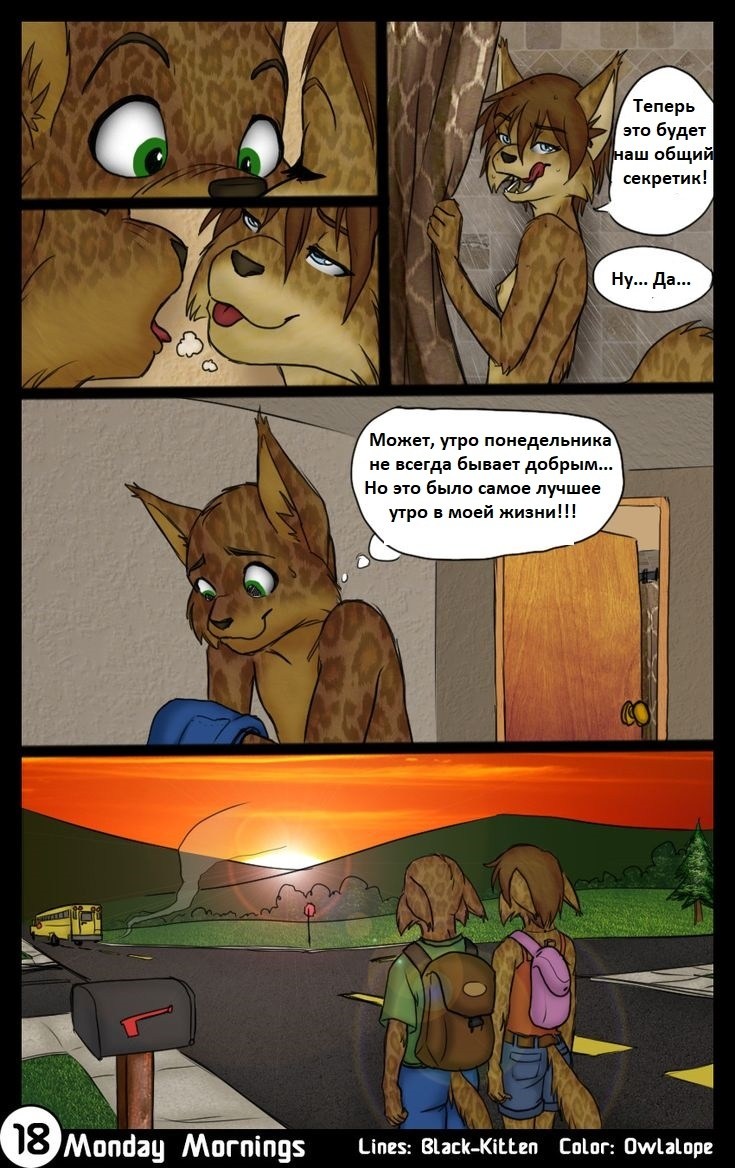 Black cat with wings