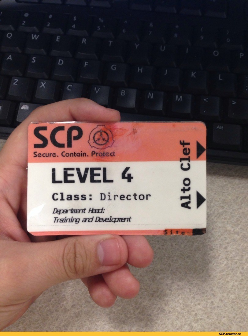 Black horizontal line