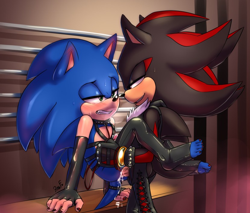 Sonic hard gay-porn