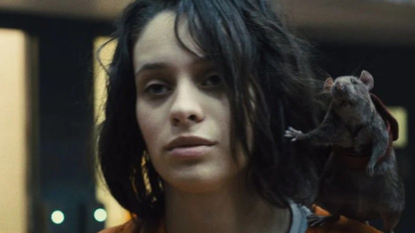 Daniela melchior suicide squad