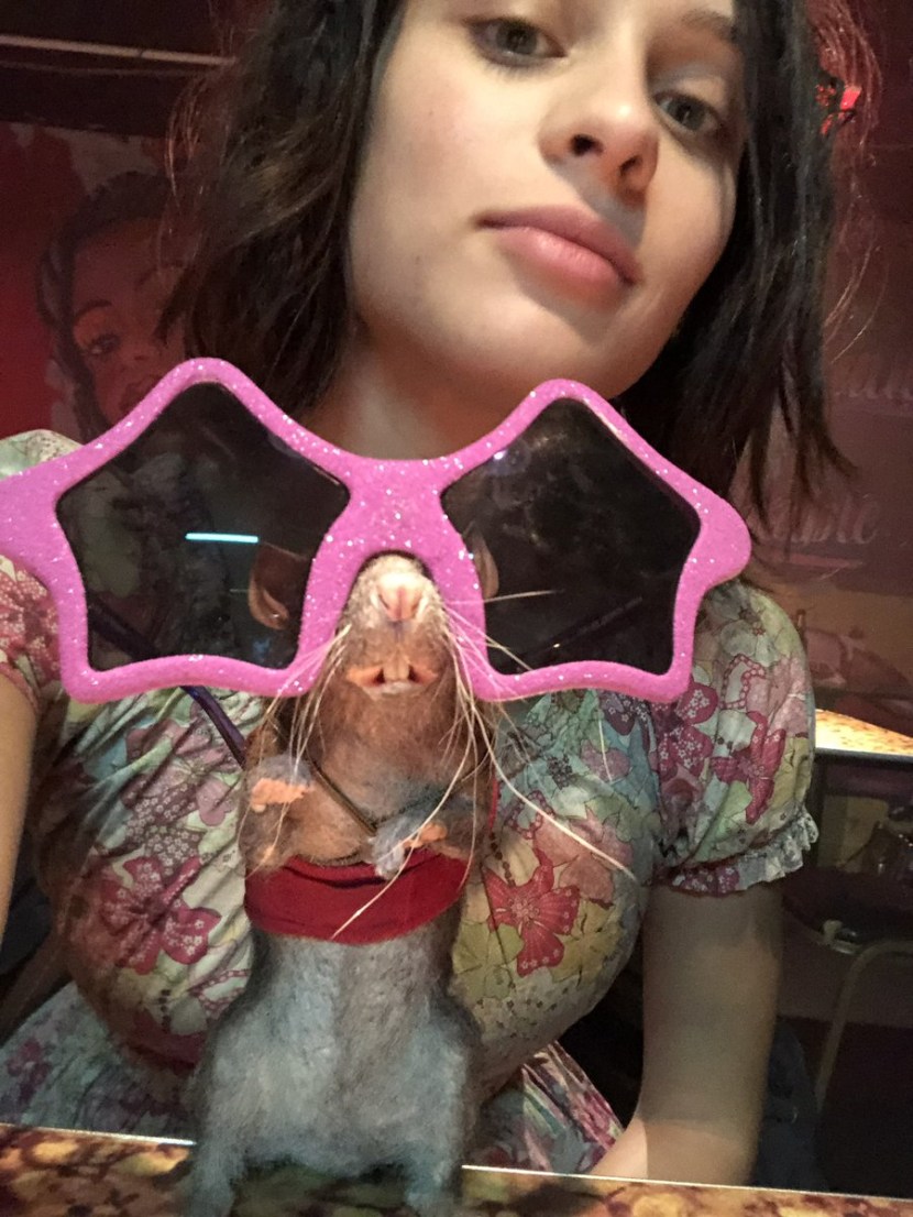 Suicide detachment mission drive a movie 2021