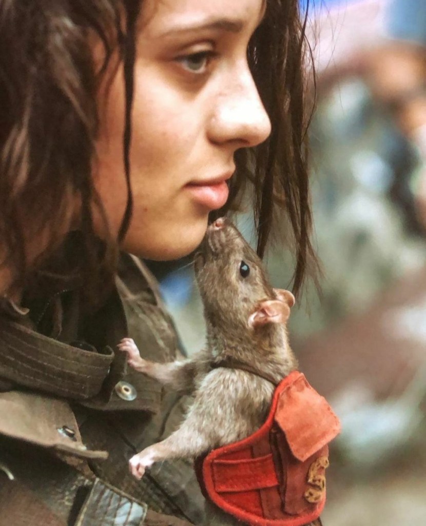 Daniela Lopez Osorio