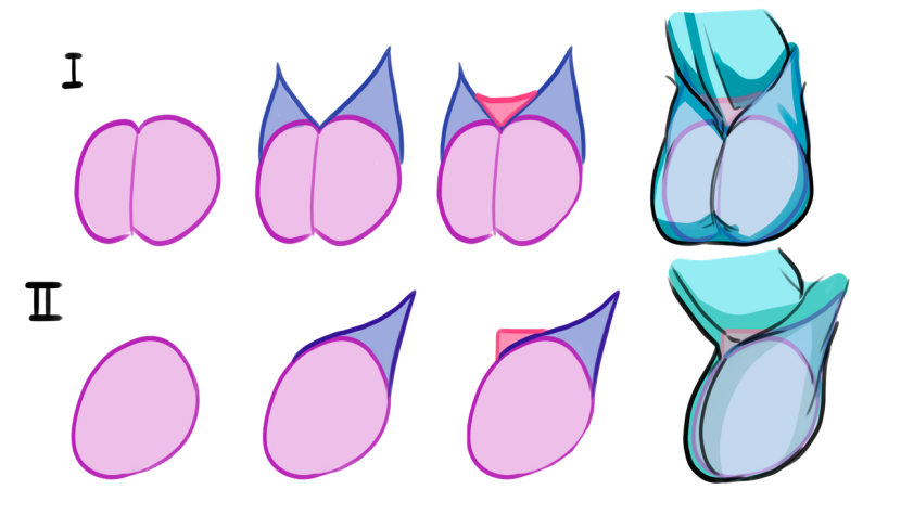 Tutorial on drawing a member