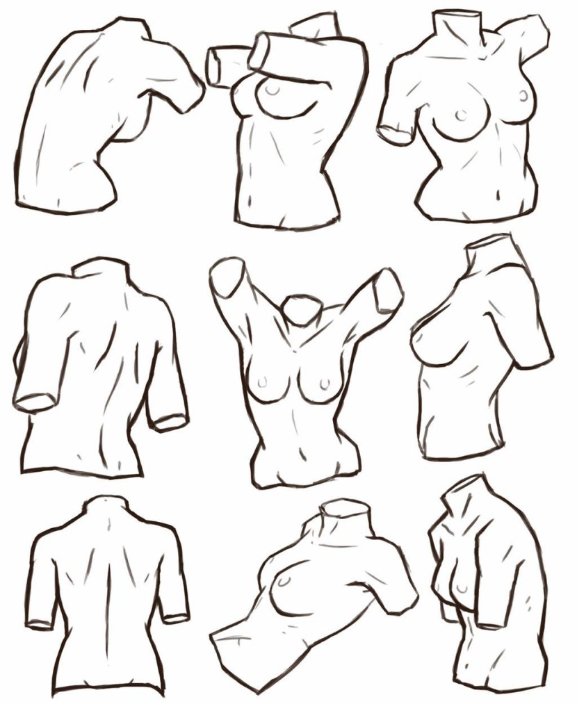 Drawn female breasts