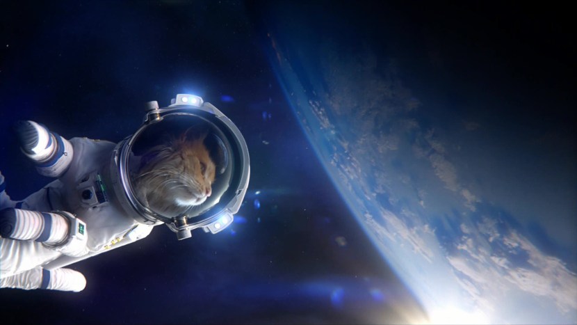 Melissa Wee BodyBuilder