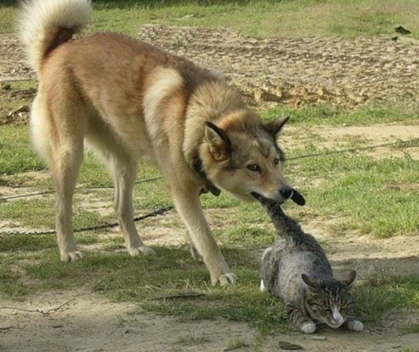 Oh Palmoly my delicate gel