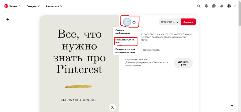 The world of the Jurassic period Cretaceous camp Brucklin