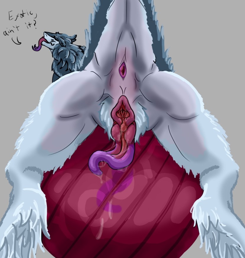 HENTAI photo clitoral house free