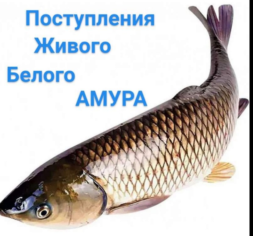 The account was temporarily blocked by VK