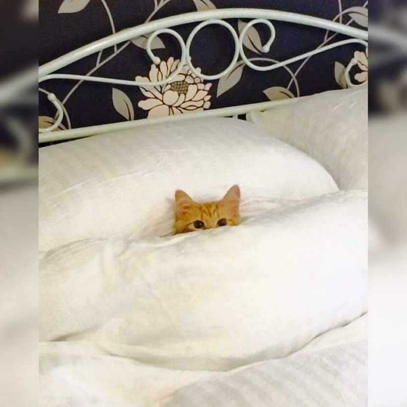 Cup of coffee for you