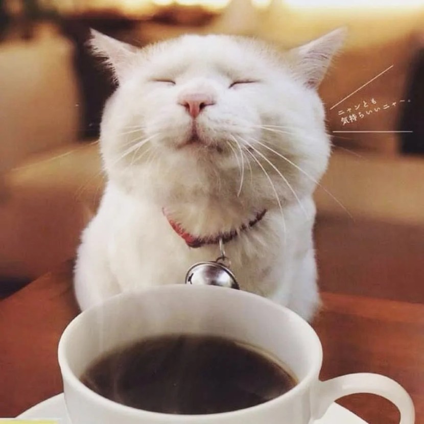 Black porridge with blue eyes