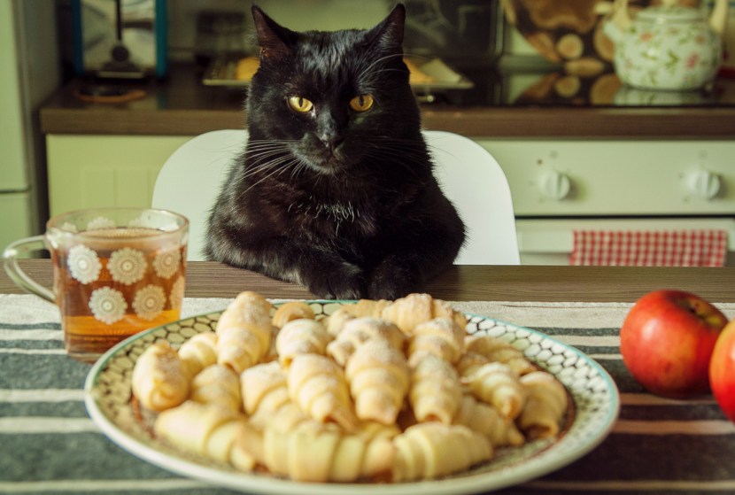 Furri comic book after School