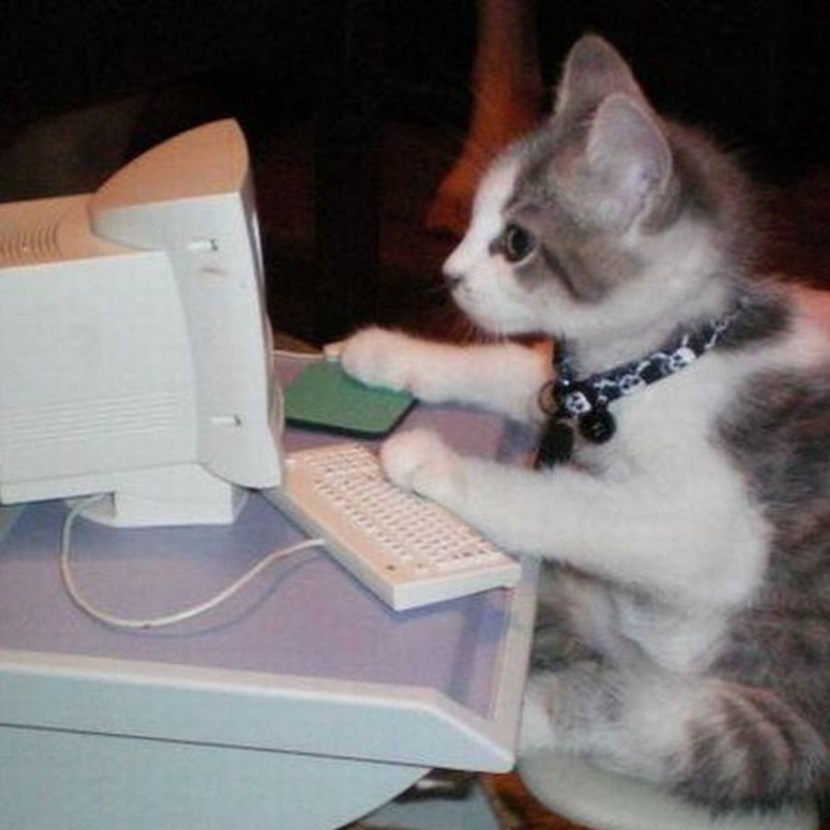 Morning Thursday Black Kitten Comics