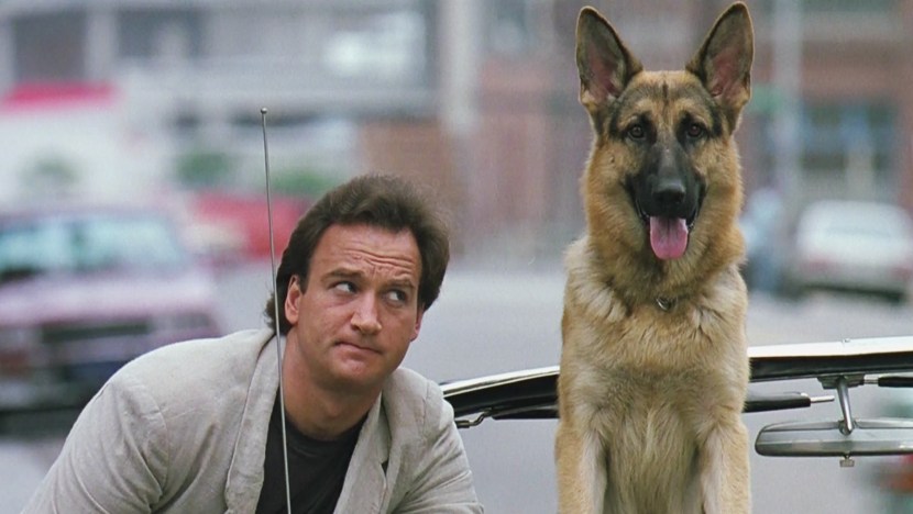 Pucker -eyed father comic