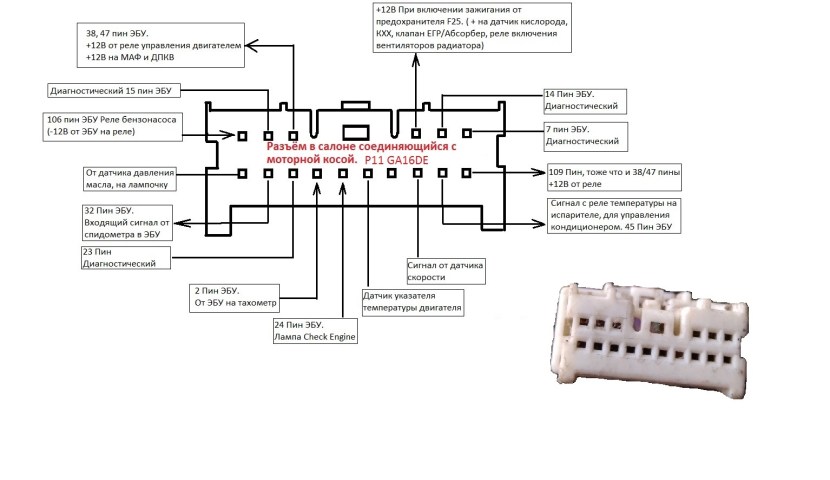Agnieshka Radvansk Sexy