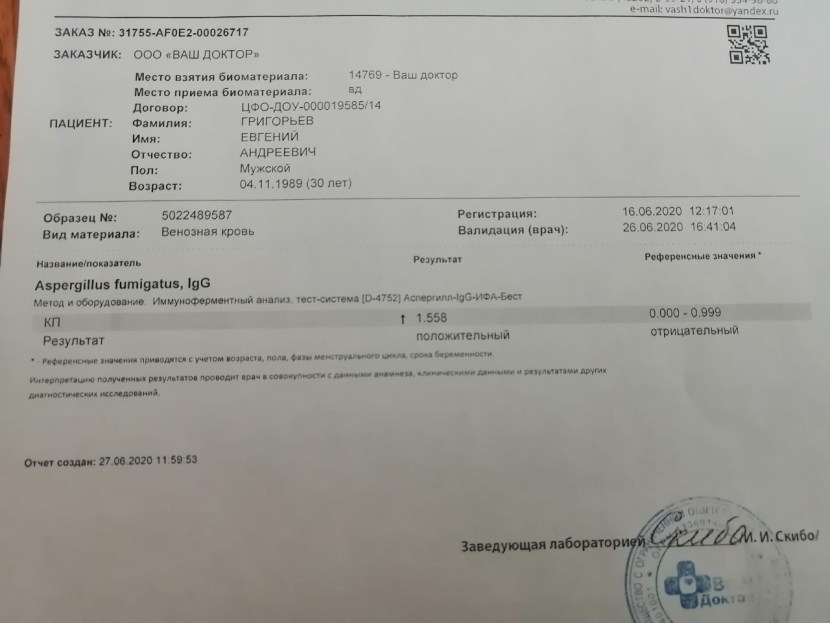 The cat is on the monitor