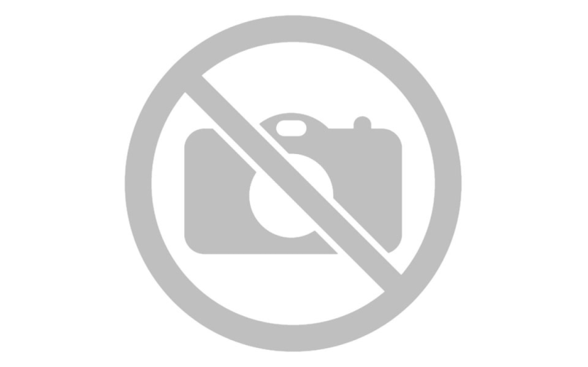 The series of the hussar of light