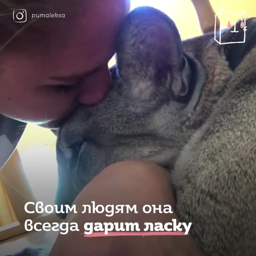 Gamakatsu Hook LS-2030B