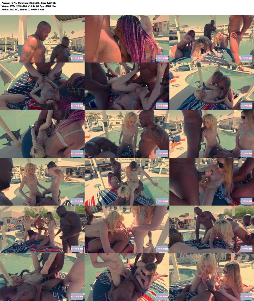 Transsexual Ella Hollywood