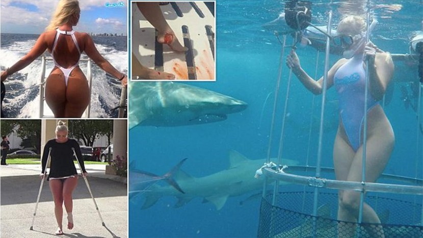 Altai on the map of Russia borders