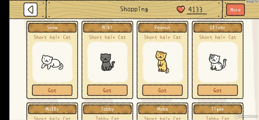 Tilt of the head reference