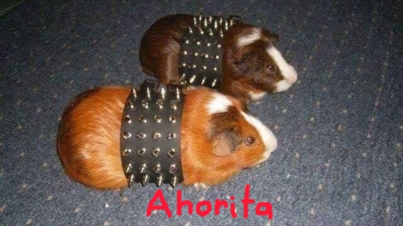 Problems stress meme