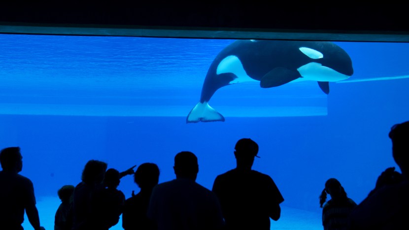 Evertale all girls nude