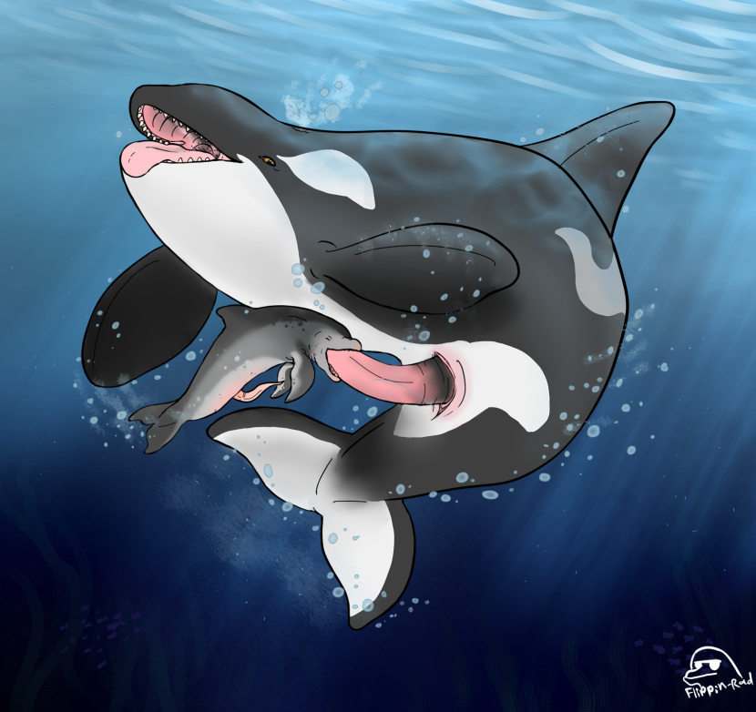 Hentai Furri Yaoy Kosatka