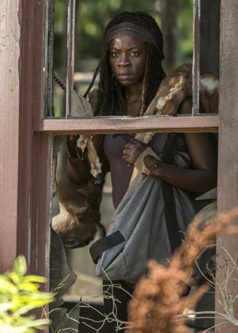 Whispering walking dead series