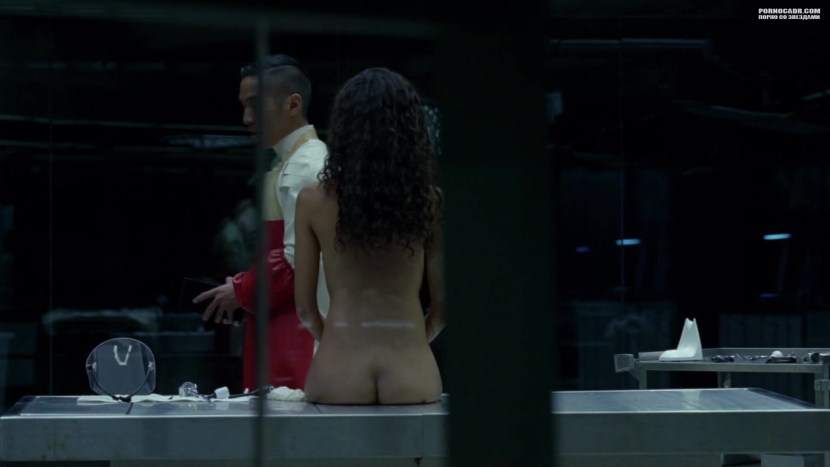 Tessa Thompson Westworld